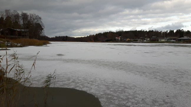 2016-11-05 09.50.37.jpg