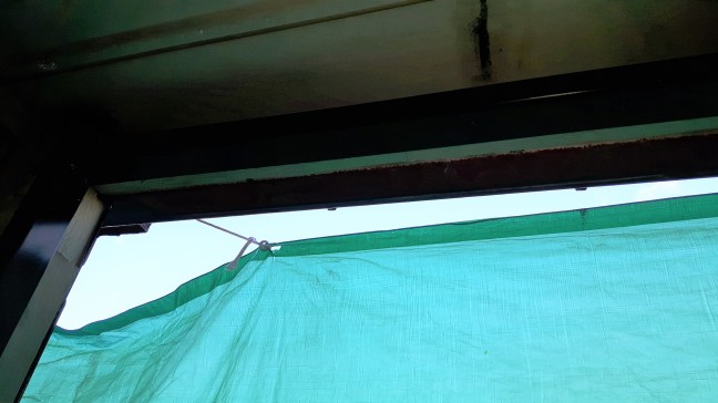 2016-11-19 12.36.56.jpg