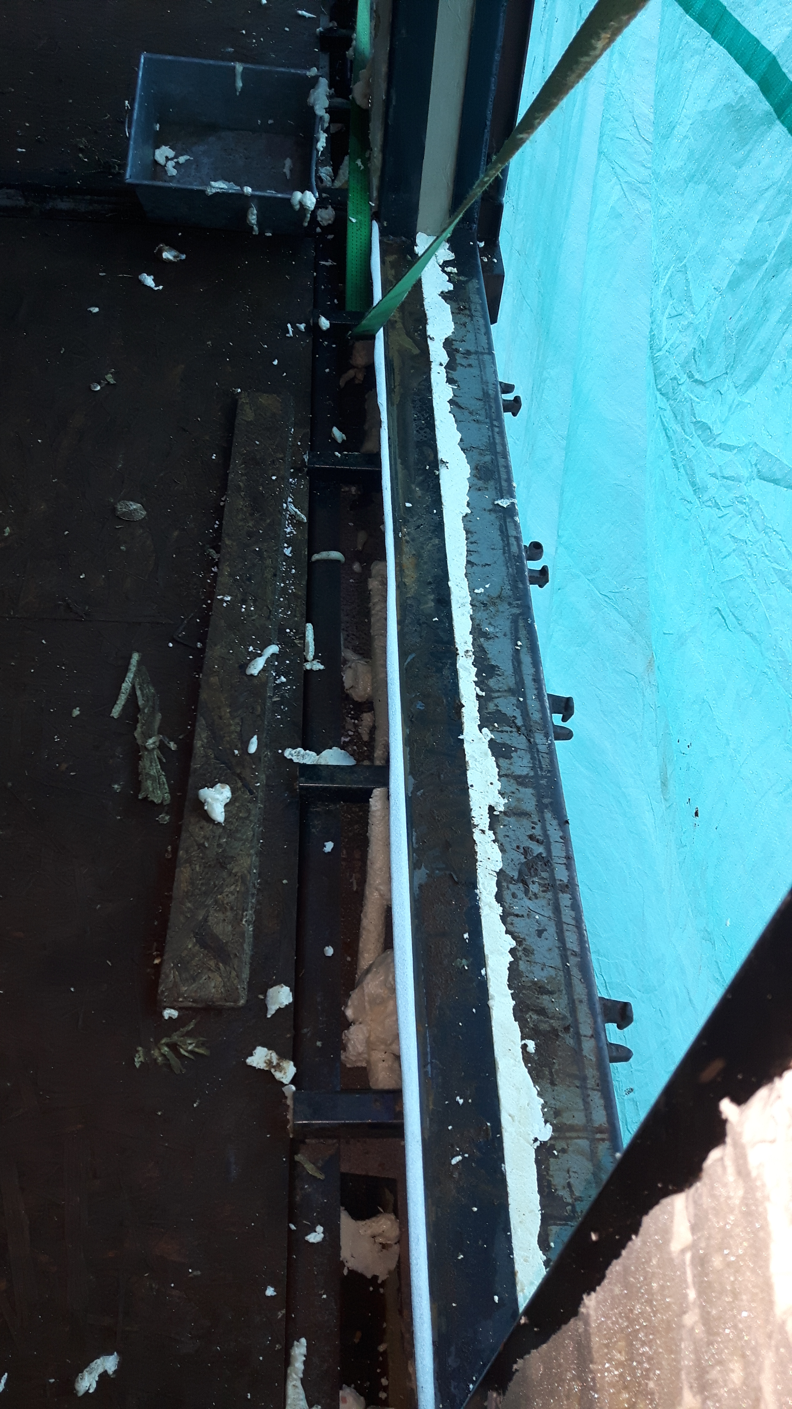 2016-11-20 11.42.00.jpg