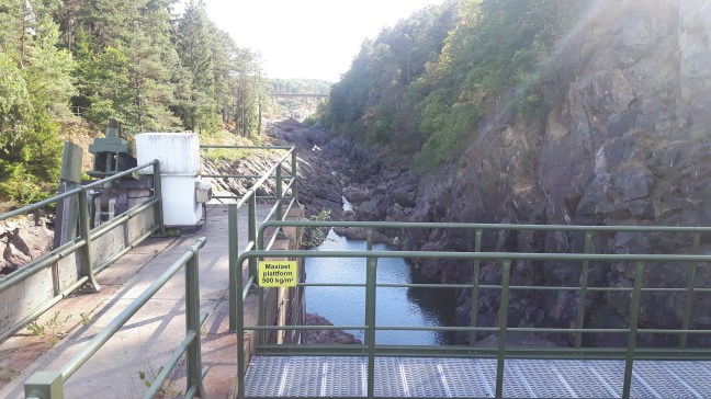 20180813_170016 - Kopia