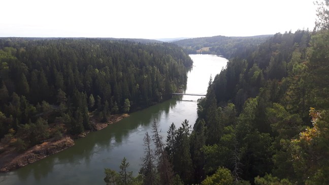 20180813_172944 - Kopia