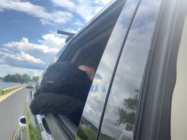 received_1345344742298998