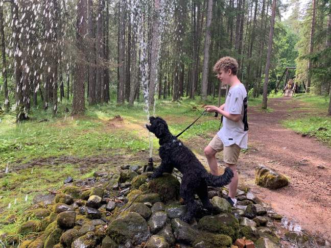 received_368212933873323