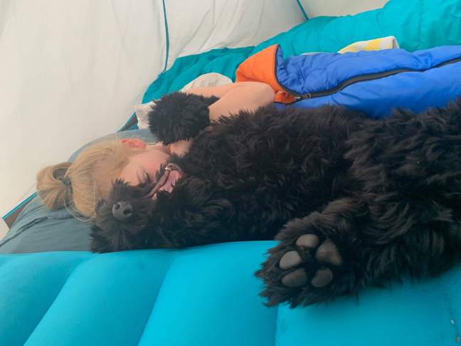 received_486759872153740