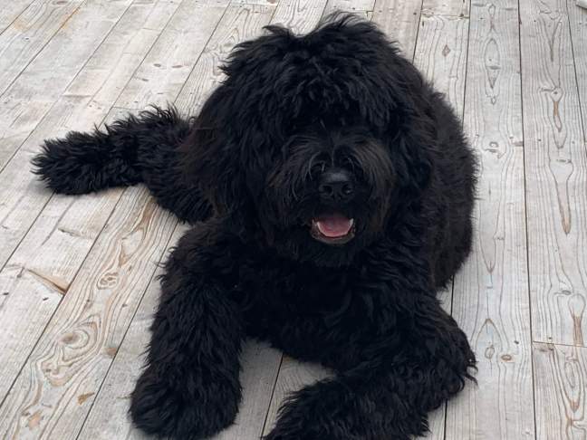 received_525537221523815