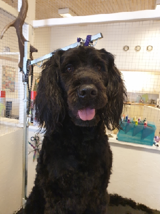 Resized_20200331_115135